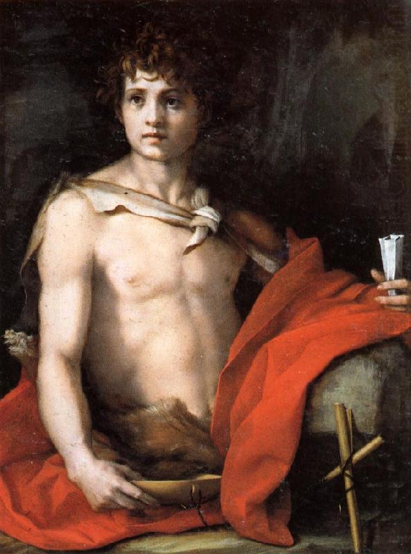 Andrea del Sarto The Young St.John china oil painting image